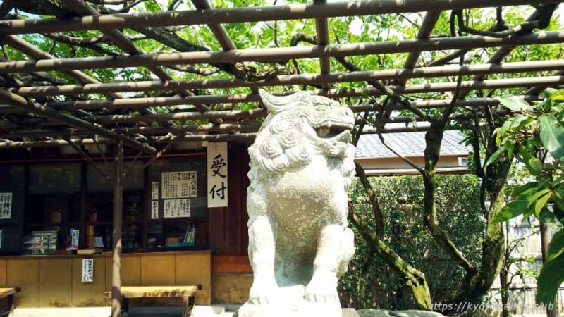 剣神社 阿の狛犬と藤棚、奥に社務所 2018年8月27日