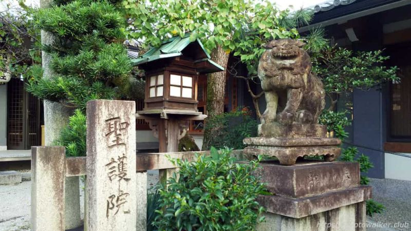須賀神社 本殿前狛犬 20181024