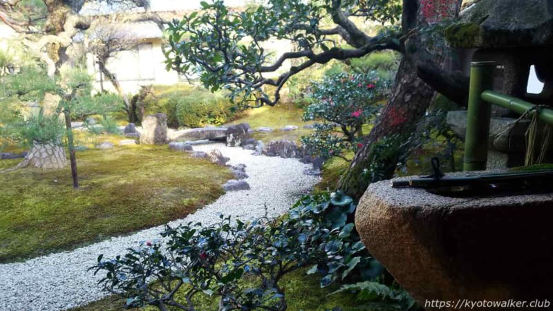 妙顕寺 光琳曲水の庭 20200102